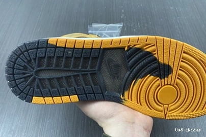 Curry Gore-Tex Jordan Light High DB2889-700 1 Durable Element 172  1031